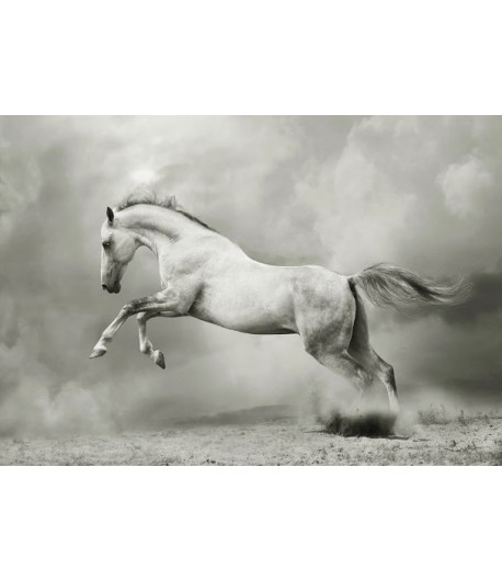 MINT BY MICHELLE Carta da découpage - WHITE HORSE (cavallo bianco)