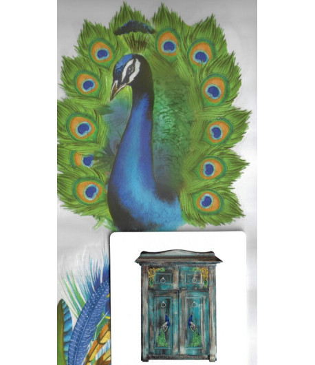 Mini Transfer - PEACOCK PARADISE