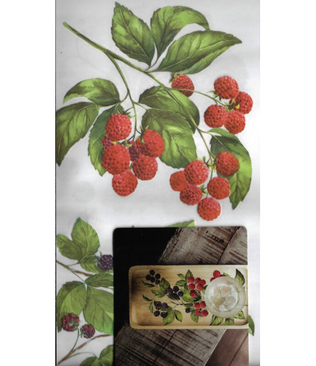 Mini Transfer - SWEET BERRIES