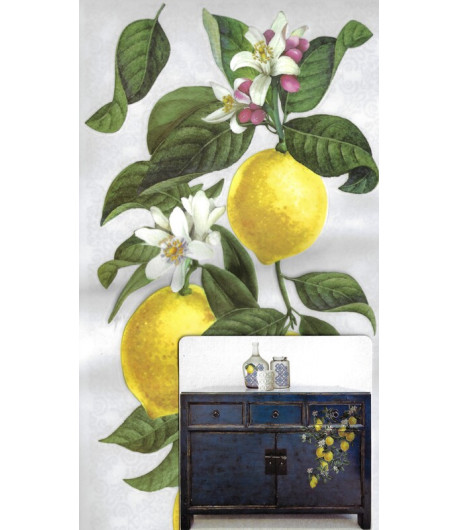 Mini Transfer - LEMON TREE