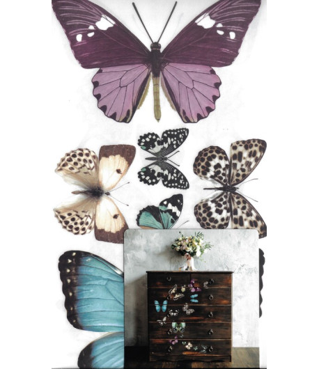 Mini Transfer - BUTTERFLY