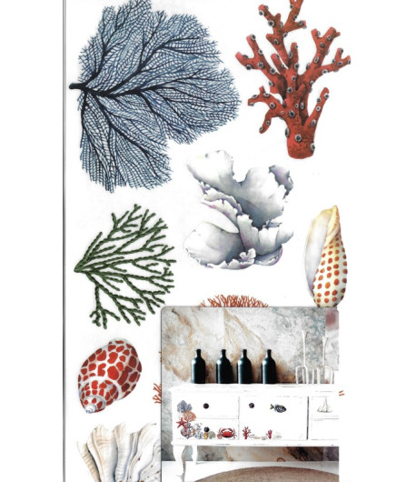 Mini Transfer - AMAZING SEA LIFE