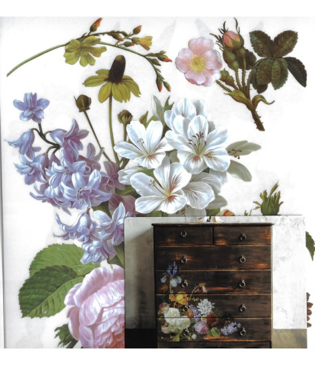 Middy Transfer - BLOSSOMED BEAUTIES