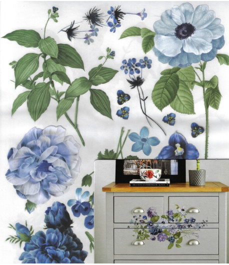 Middy Transfer - BLUE GARDENS