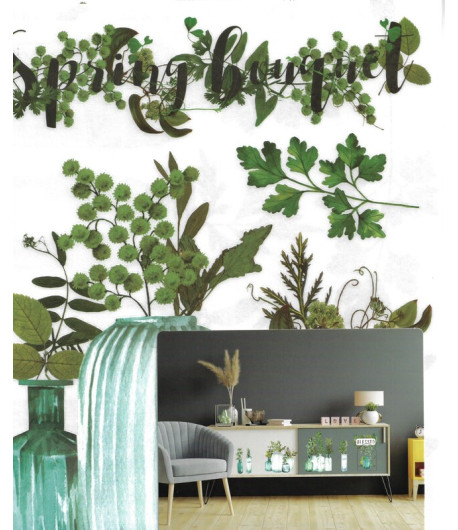 Middy Transfer - VINTAGE GREENHOUSE