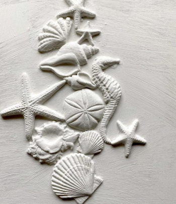 Sea Shells