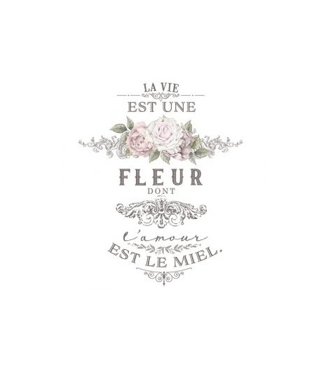 Trasferibile Transfer l'amour est le miel - 69 X 94 cm
