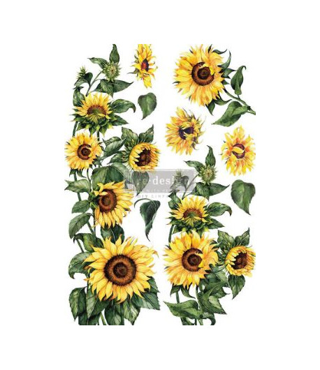 Trasferibile Transfer Sunflower -61 X 89 cm