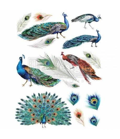 Trasferibile Transfer PEACOCK DREAMS  - 60,96 x 83,82 cm