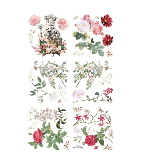 HOKUS POKUS Trasferibile Transfer- THE QUEEN  31,5 X 30 CM / 6 PZ