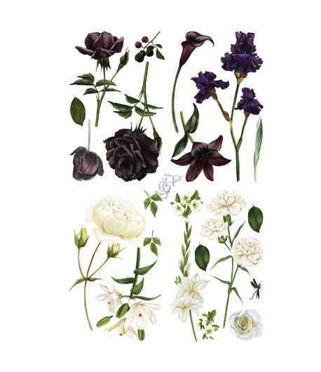 HOCUS POKUS Transfer -MIDNIGHT GARDEN  88,5 X 58 CM